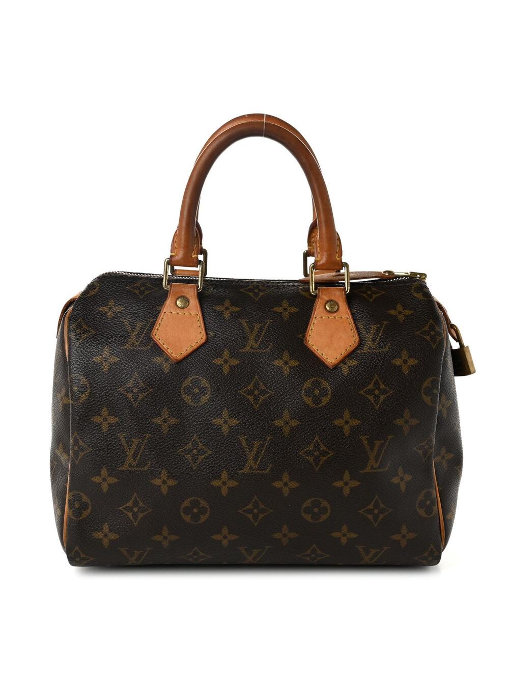 Louis Vuitton Speedy 25 #359165L11B